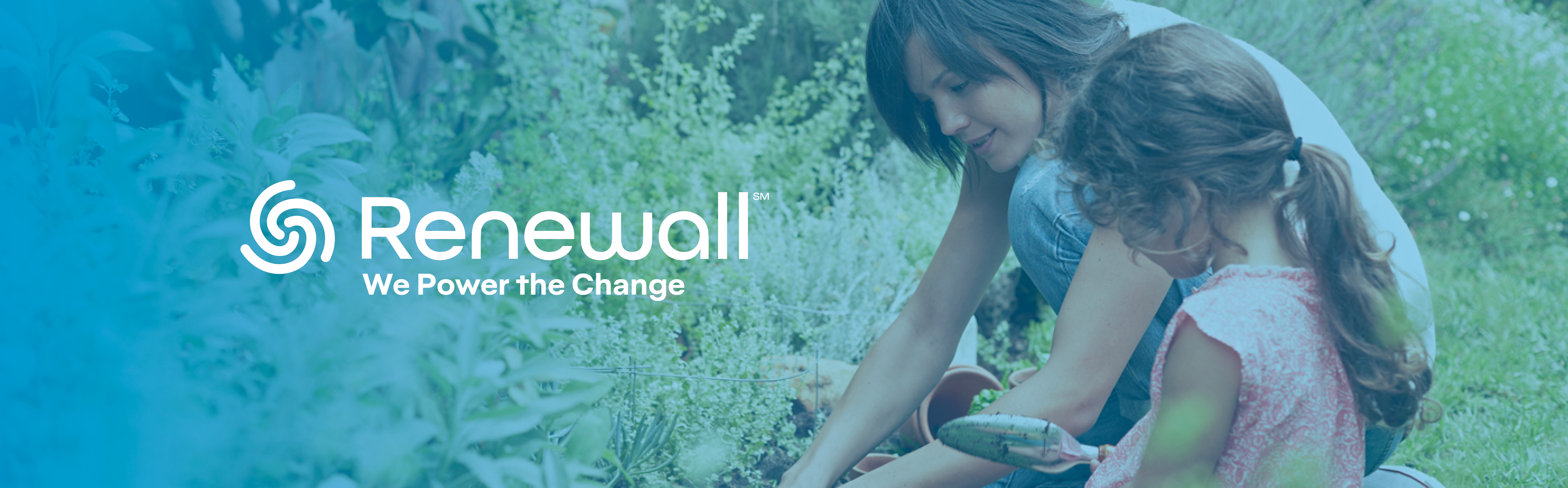 renewall