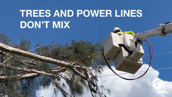 right tree right place video tile - fpl line worker in bucket truck safely trimming tree limbs on powerlines