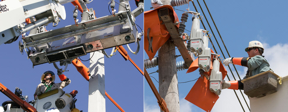 FPL employees working on an automated feeder and lateral switch 