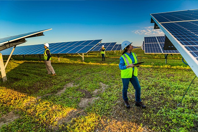 FPL employees inspecting solar panels