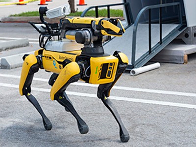 spot robotic dog
