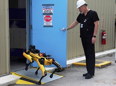 spot robotic dog