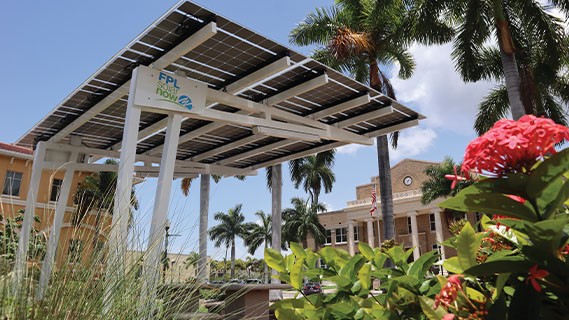 solarnow canopy