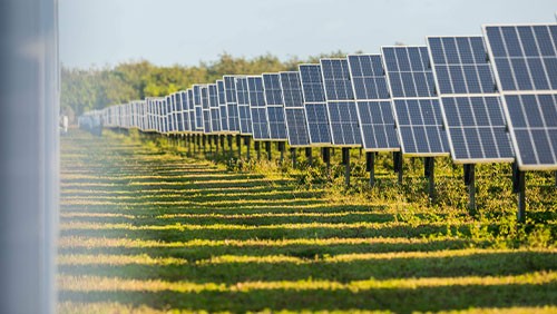 paneles solares en un campo