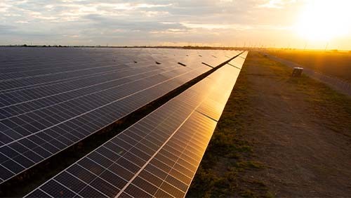 a solar field during sunset