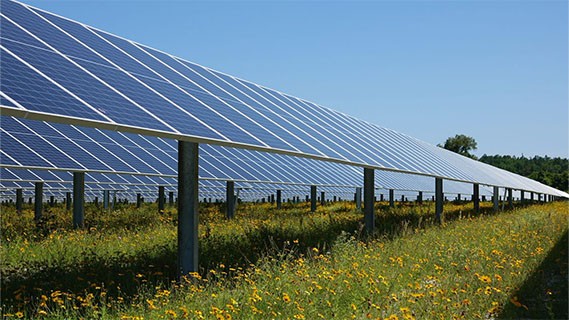 solar panels at wildflower solar center