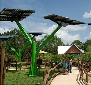 Solar trees in a park