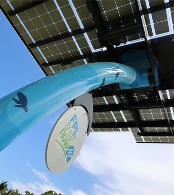 solar tree