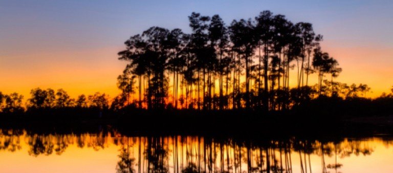 Benefits of Wetlands Mitigation