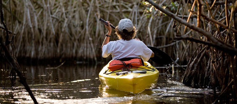 Ecosystems man in kayak