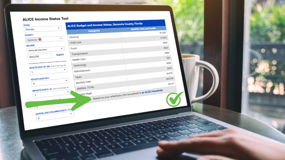 image of alice calculator on screen