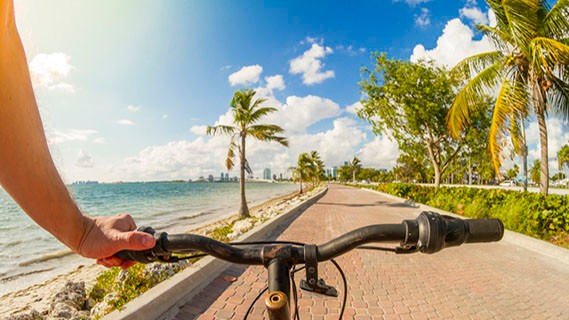 bicycle rider with tropical scene