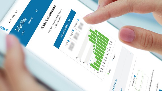 budget billing on a mobile device 