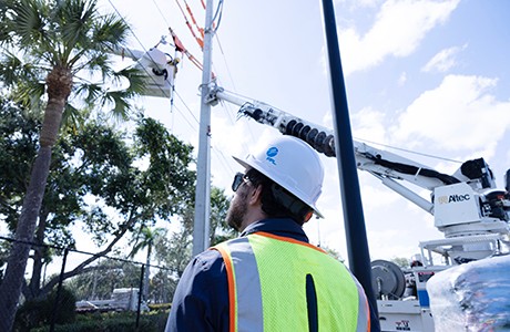 lineworkers in bucket and looking into trees