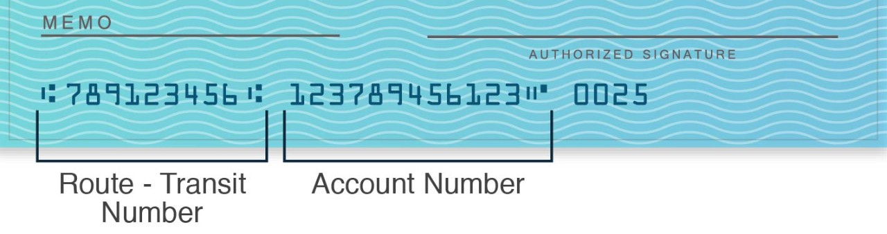 routing and account number on check