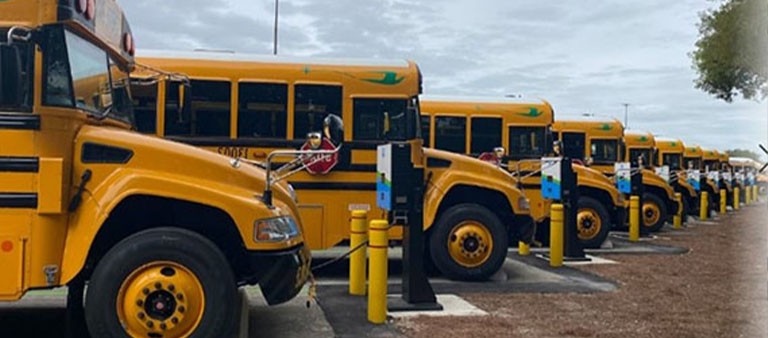 a fleet of electric school buses connected to fpl evolution chargers