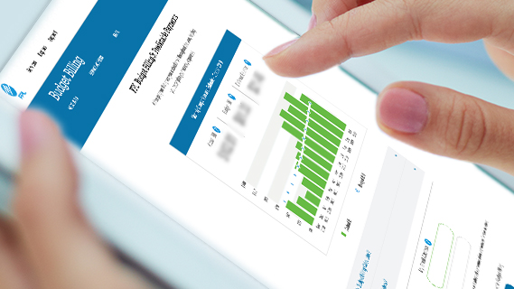 budget billing on a mobile device 