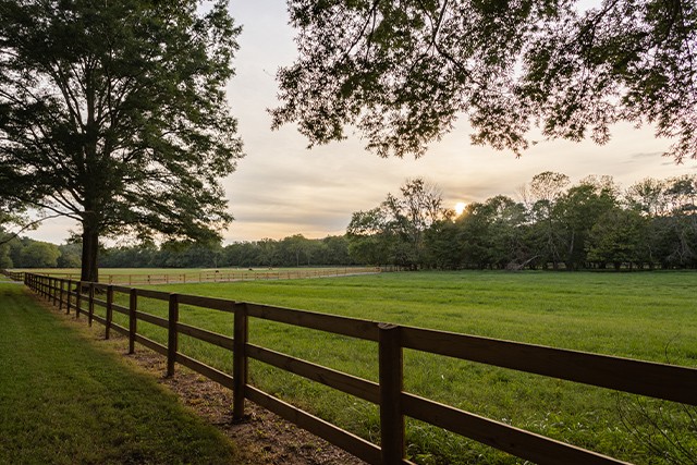 sunset at a pasture field