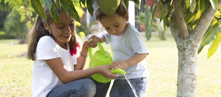 children plant the right tree in the right place