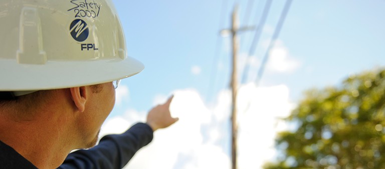 trees and power line safety