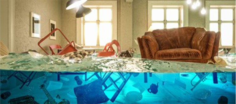 fples watershield
