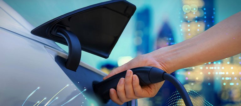 fpl evolution charger