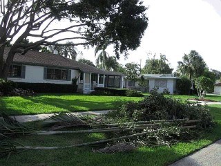 house with tree debris in front
