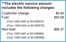 Fpl Rates How To Read Your Bill The Florida Public Service Commission Regulates Some Items On Your Electric Bill Including Customer