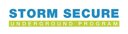 Storm secure logo