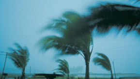 Weather
